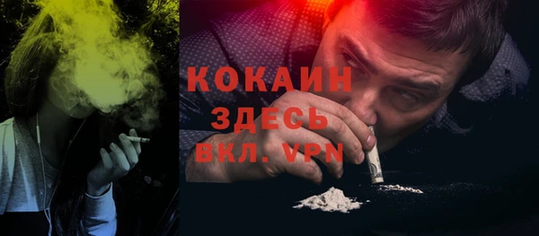 СК Ельня