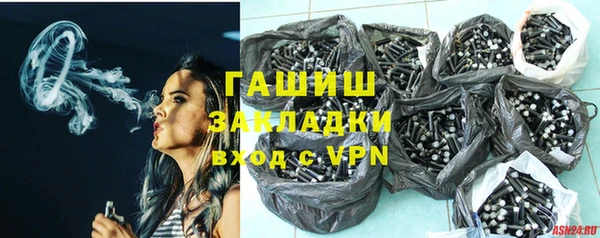 СК Ельня
