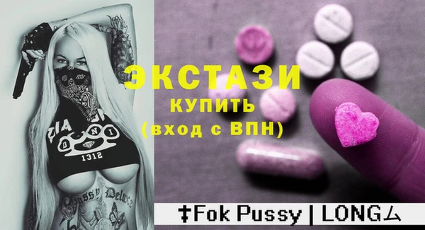 СК Ельня