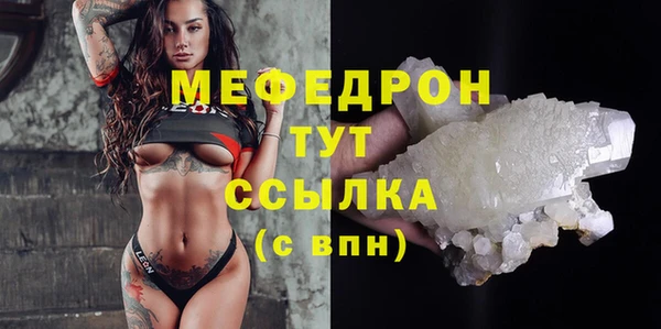 СК Ельня