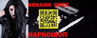 гашик Кандалакша