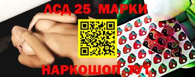 гашик Кандалакша