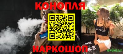 apvp Камышлов